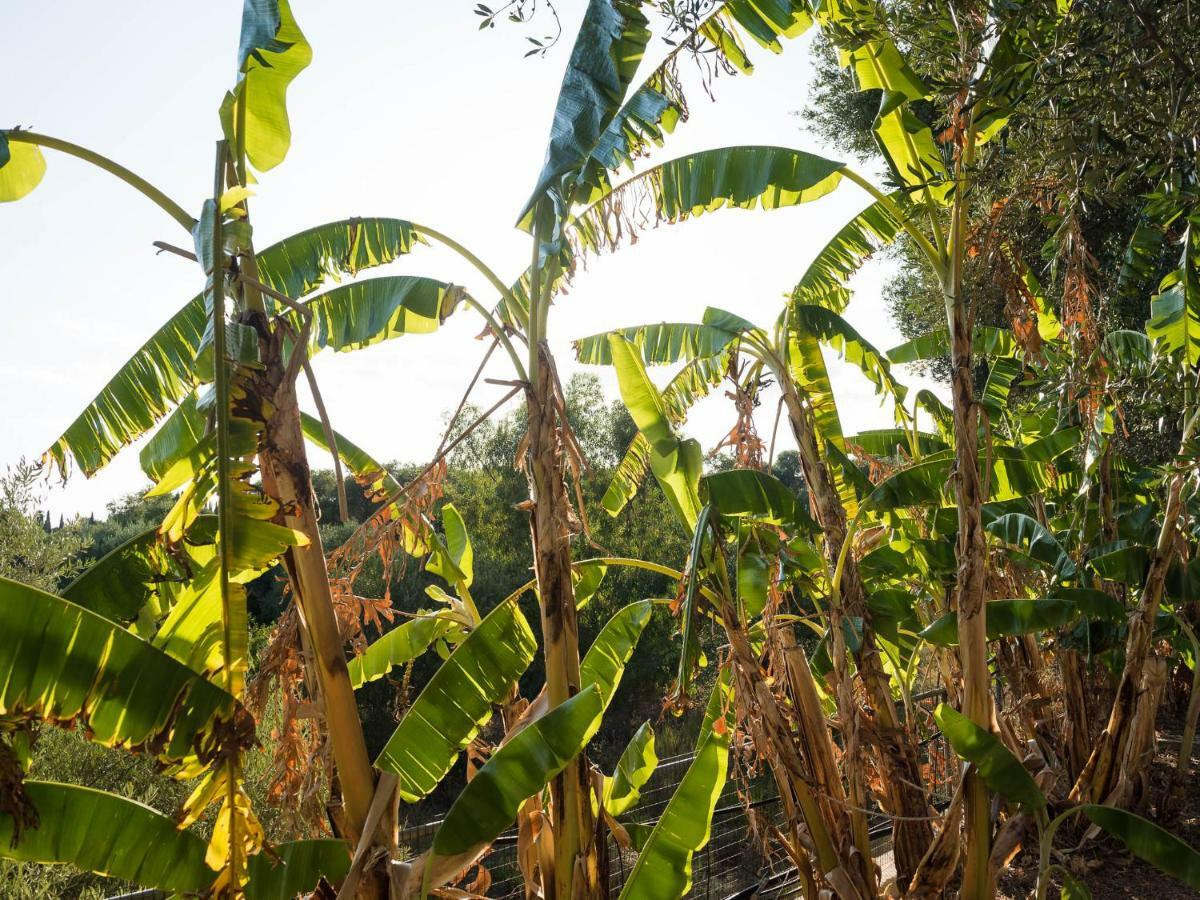 Zoumpouli Village Spartia  Ngoại thất bức ảnh